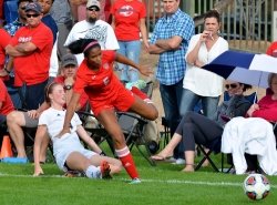 Why I am a cricket fan