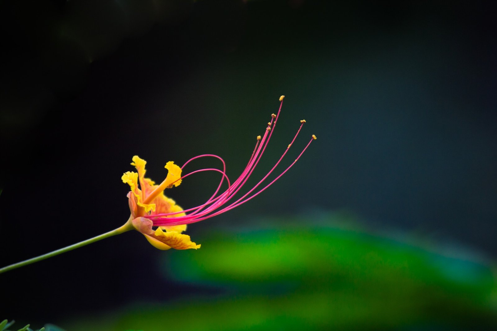 2014 NBA Player Rankings